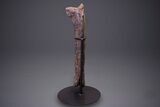 Hadrosaur (Hypacrosaurus) Femur with Metal Stand - Montana #264989-2